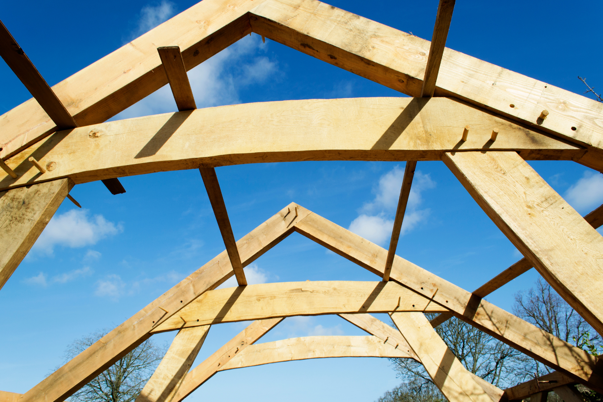 Modern Timber Frame