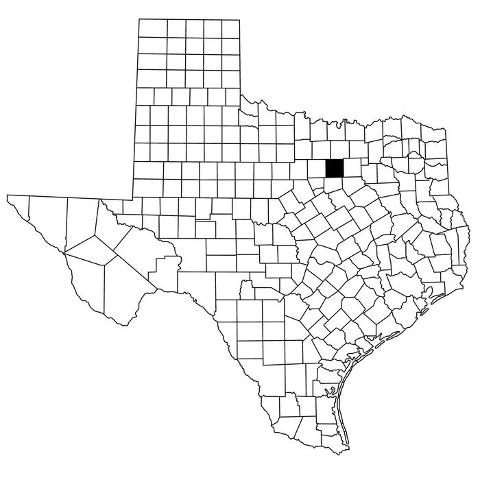Parker County, Texas Family Law and Probate Attorney
